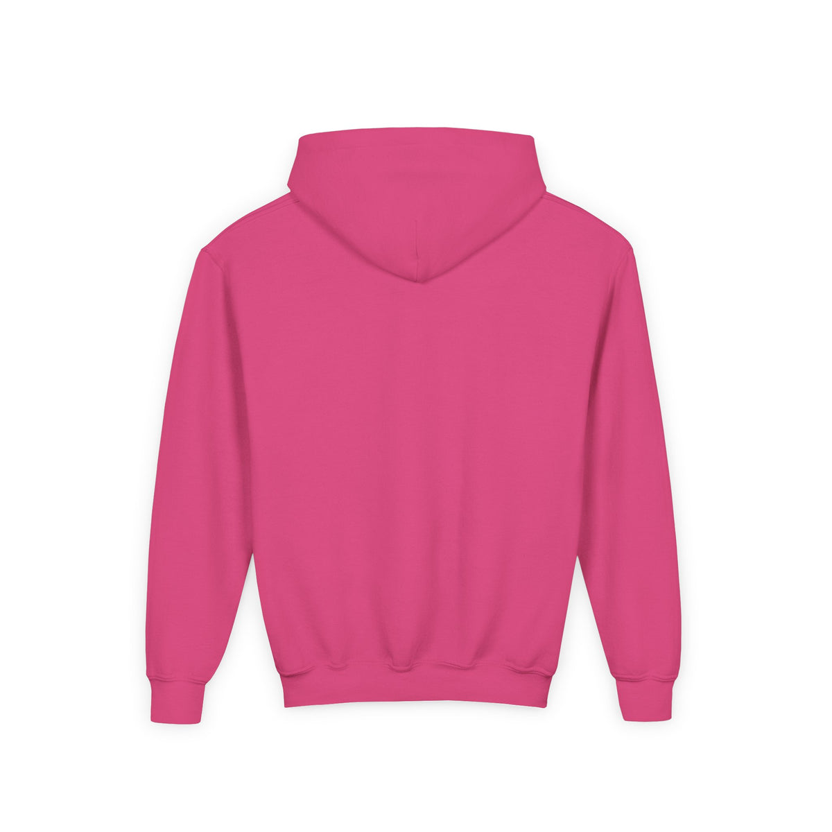 Youth HSE Hooded Sweatshirt