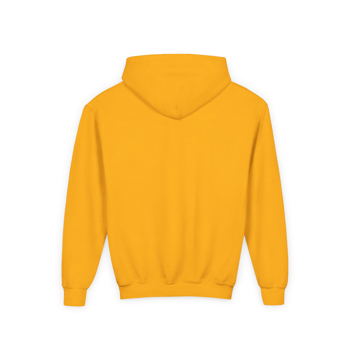 Youth HSE Hooded Sweatshirt